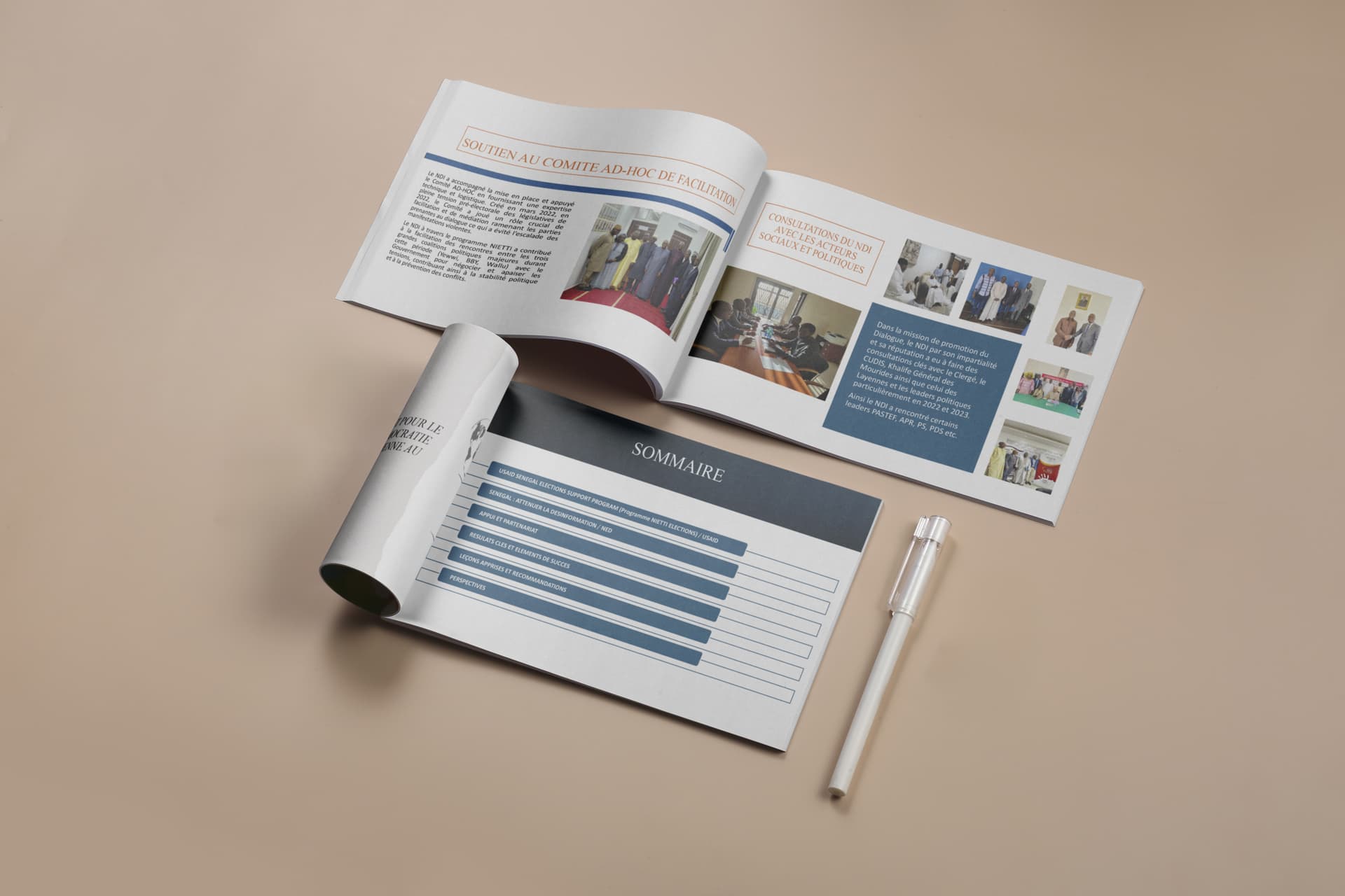 NDI Institutionnel — 3