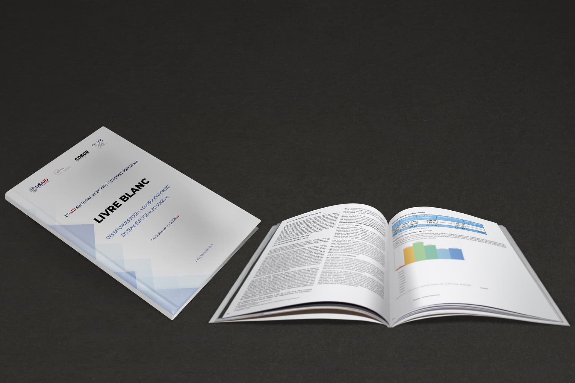 NDI Institutionnel — 4