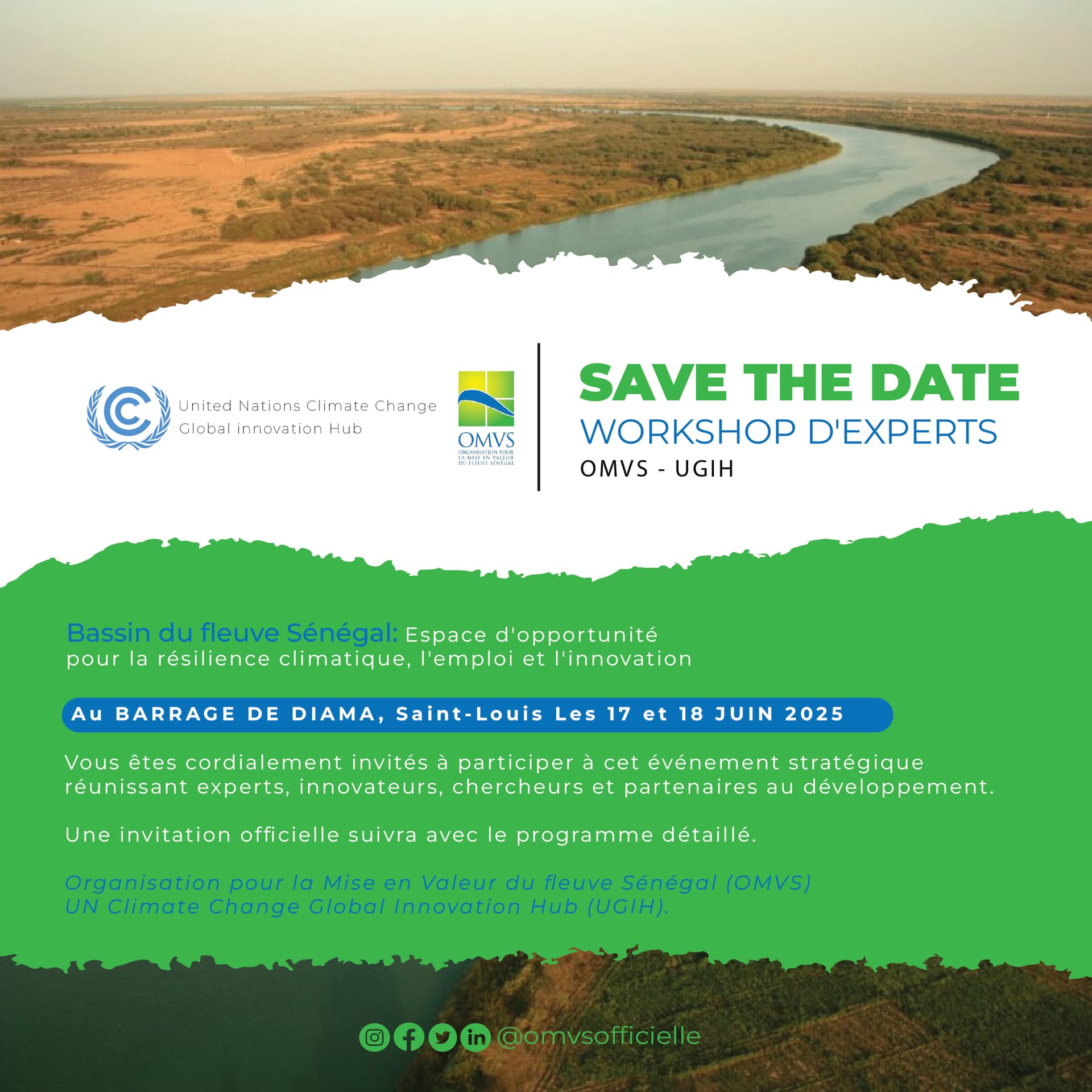 Branding OMVS Forum — 3